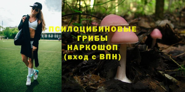 кокаин Белокуриха