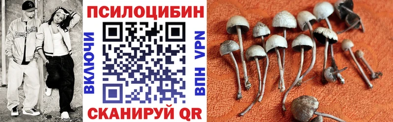 Галлюциногенные грибы Psilocybine cubensis  Славгород 